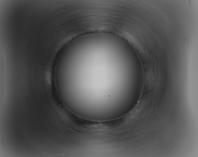 X0000089360112200706291049