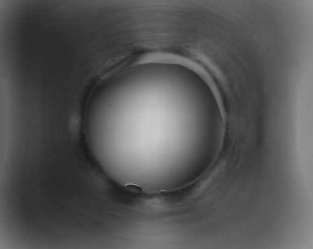 X0000089360113200706291049