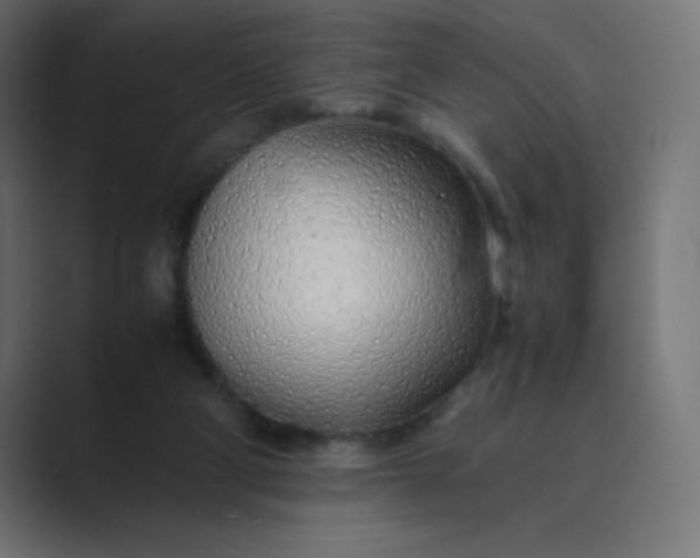 X0000089360114200706291049