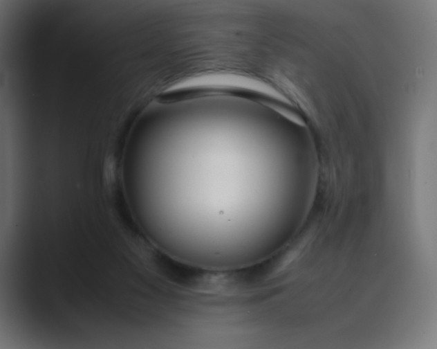 X0000089360117200706291049