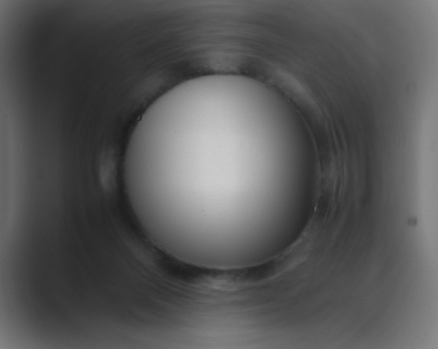 X0000089360120200706291049