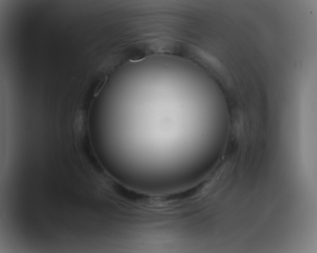 X0000089360121200706291049