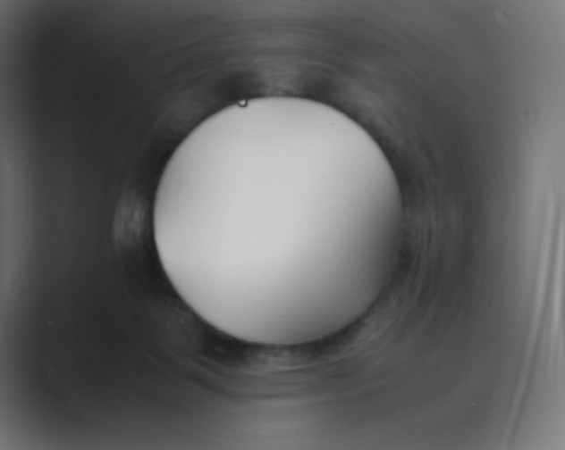 X0000089360123200706291049