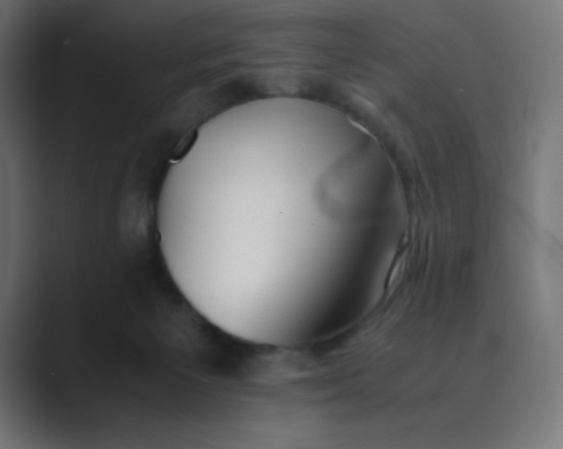 X0000089360125200706291049