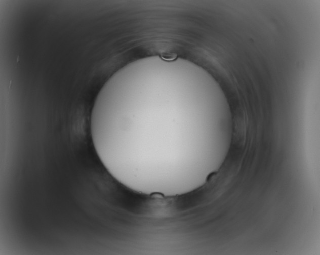 X0000089360126200706291049