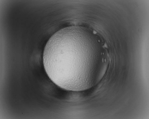 X0000089360127200706291049