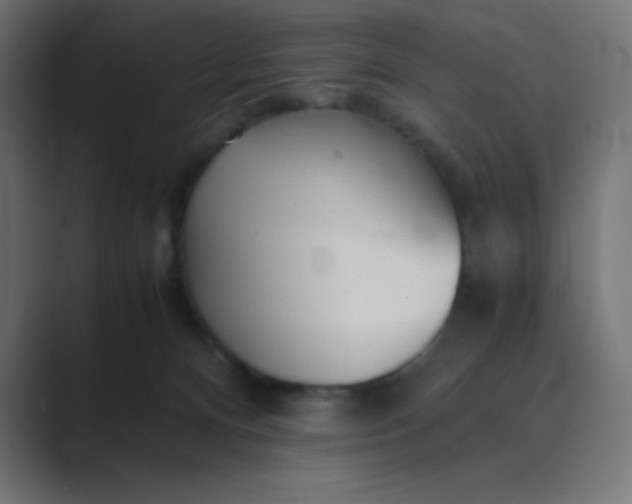 X0000089360128200706291049