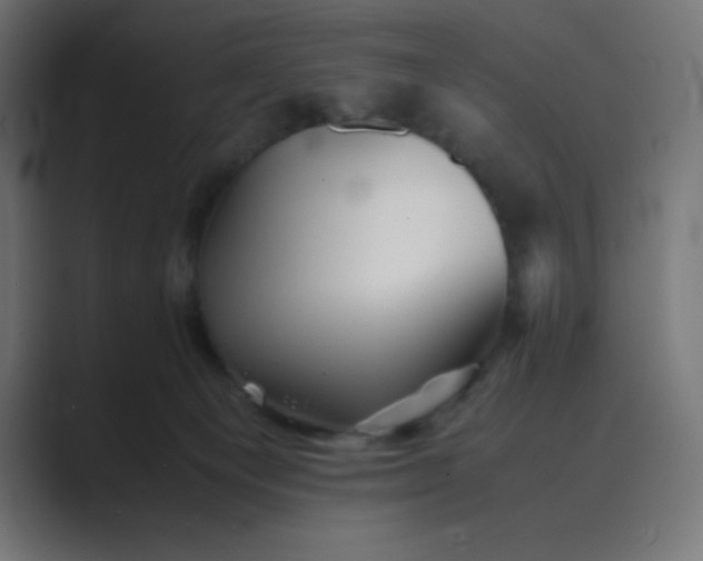 X0000089360129200706291049