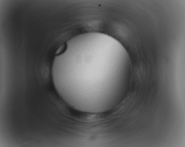 X0000089360130200706291049