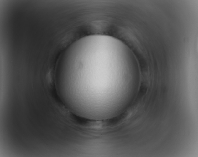 X0000089360131200706291049