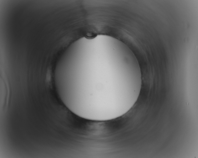 X0000089360132200706291049