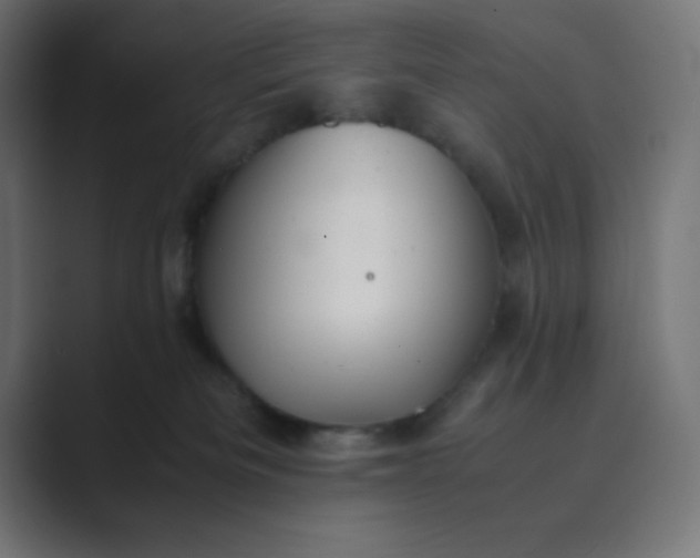 X0000089360133200706291049