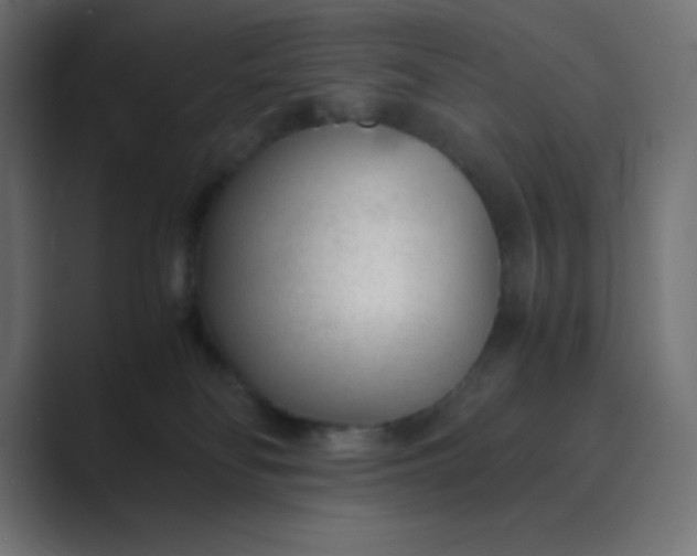 X0000089360134200706291049