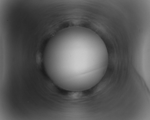 X0000089360135200706291049