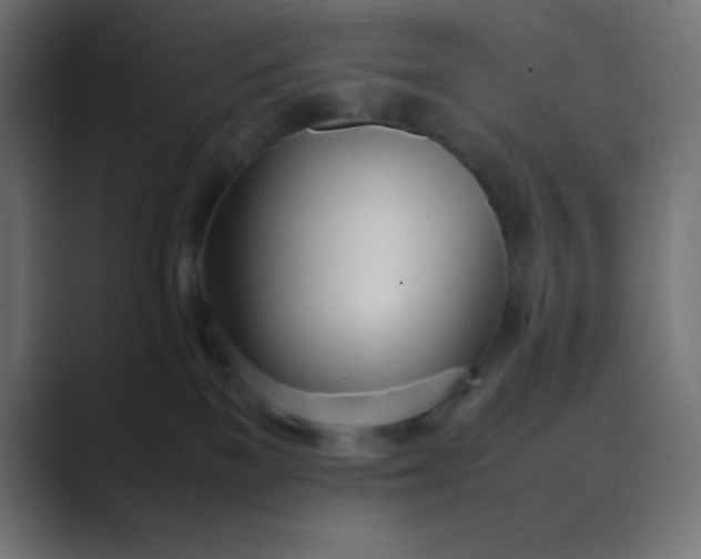 X0000089360137200706291049