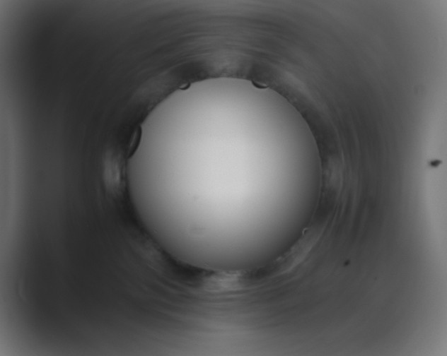 X0000089360138200706291049