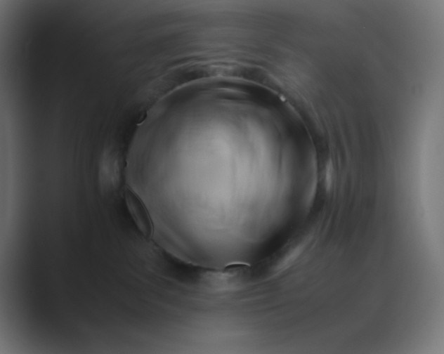 X0000089360139200706291049