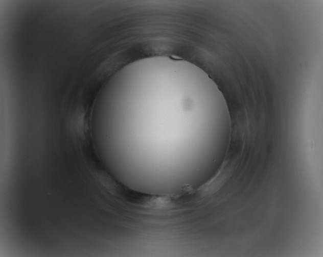 X0000089360140200706291049