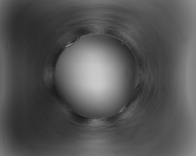 X0000089360141200706291049