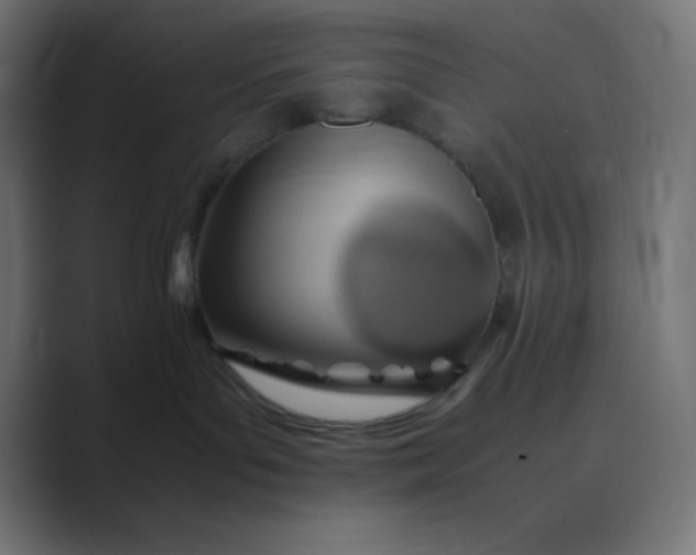 X0000089360143200706291049