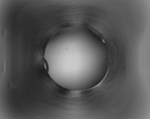 X0000089360144200706291049