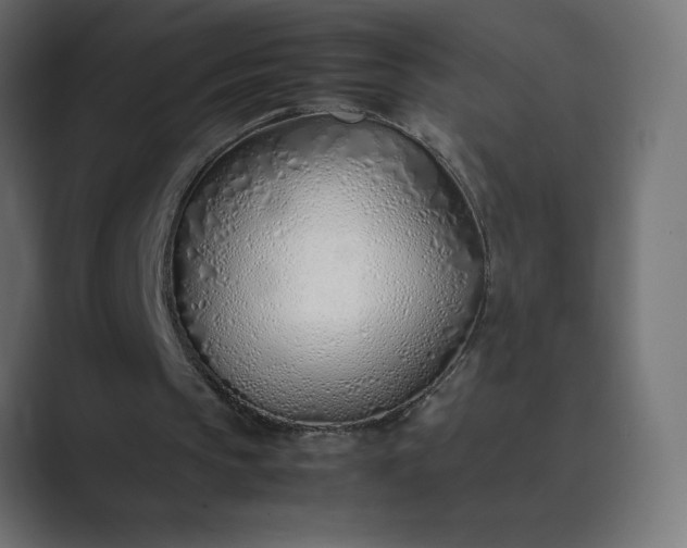 X0000089360145200706291048