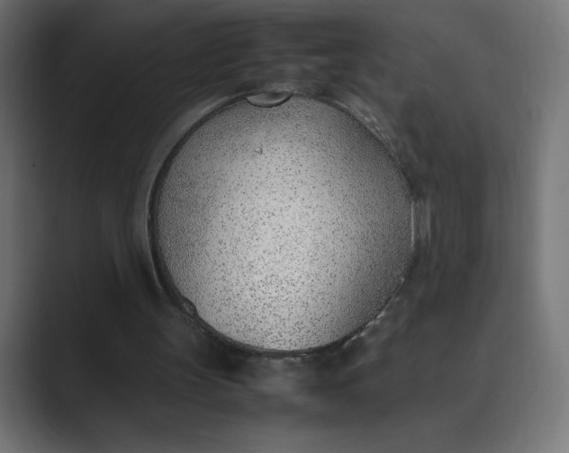 X0000089360147200706291048