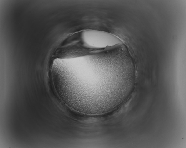 X0000089360149200706291048