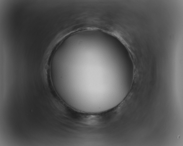 X0000089360151200706291048