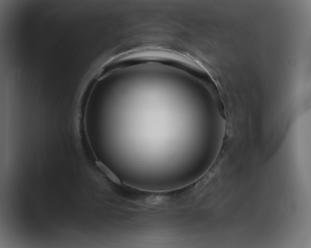 X0000089360152200706291048