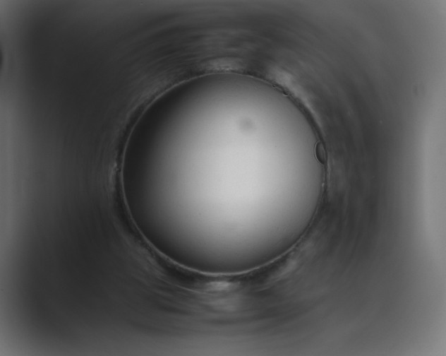 X0000089360153200706291048