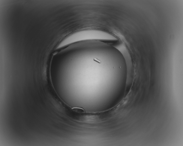 X0000089360154200706291048