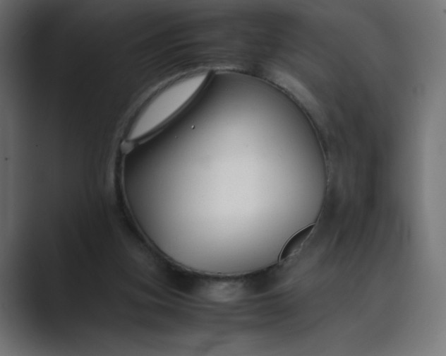 X0000089360155200706291048