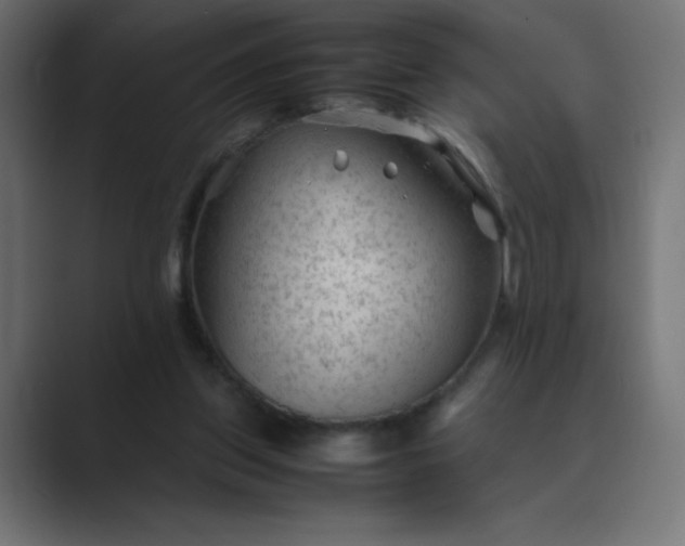 X0000089360157200706291048