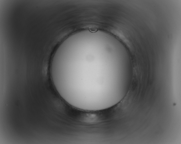 X0000089360159200706291048