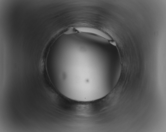 X0000089360160200706291048