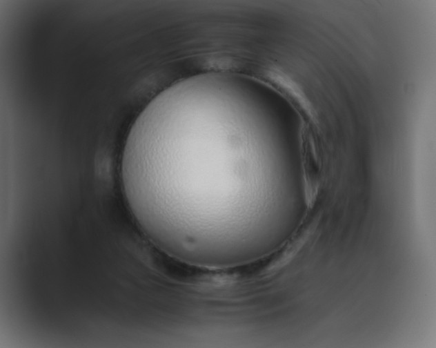 X0000089360161200706291048