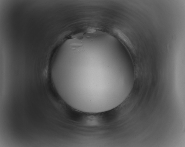 X0000089360163200706291048