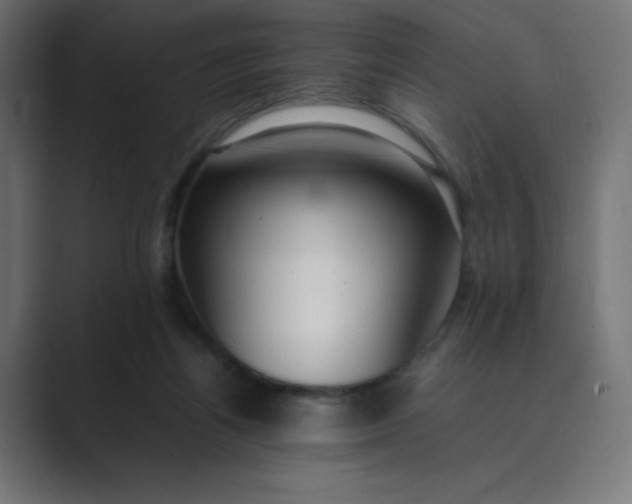 X0000089360164200706291048