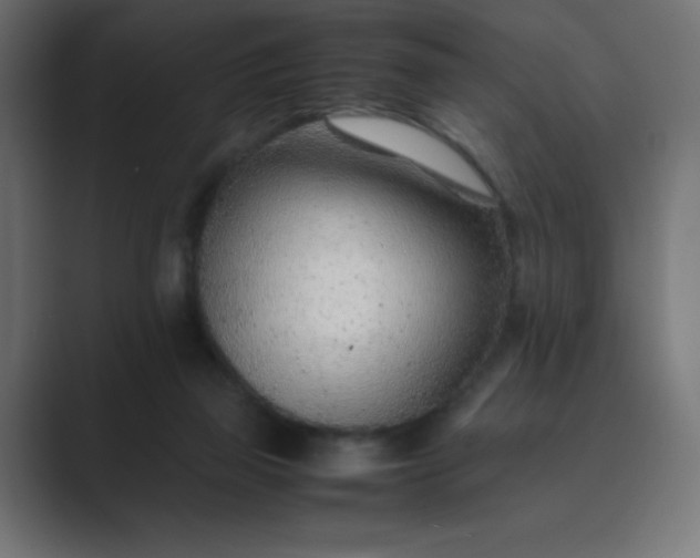 X0000089360165200706291048