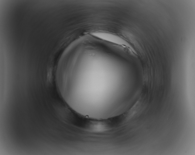 X0000089360167200706291048