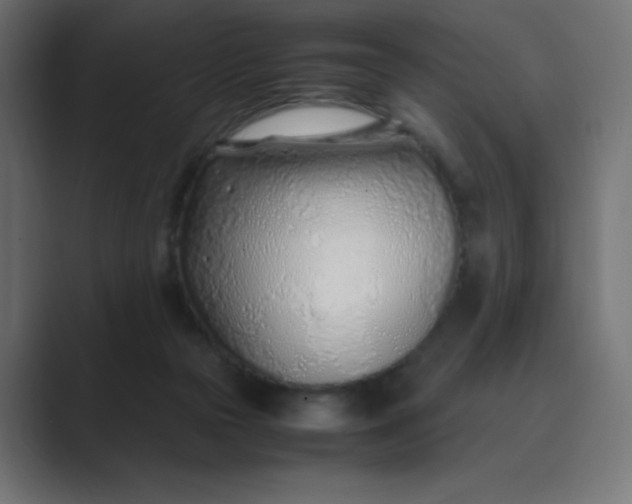 X0000089360169200706291048