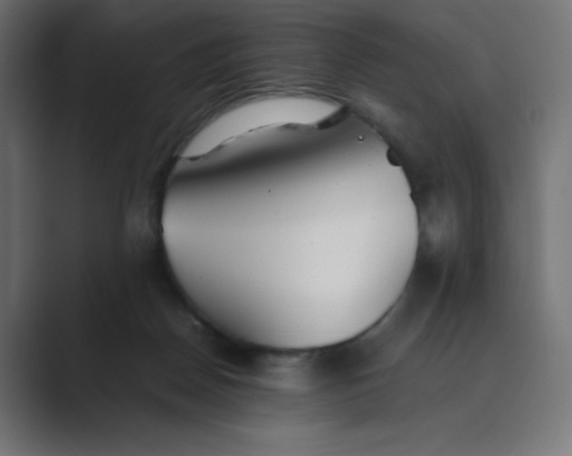 X0000089360170200706291048