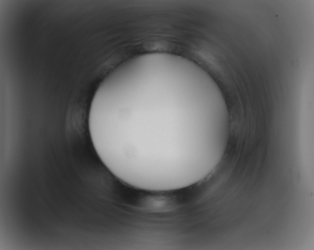 X0000089360171200706291048