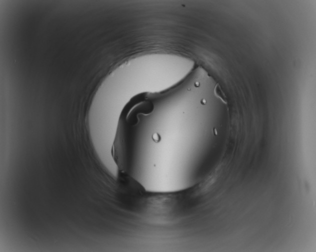 X0000089360172200706291048