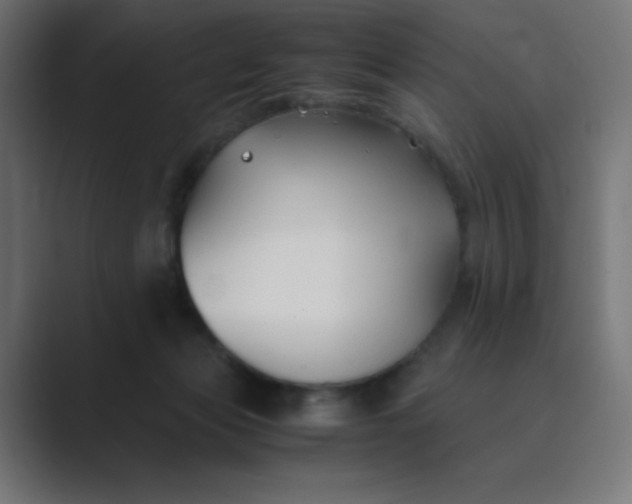 X0000089360173200706291048