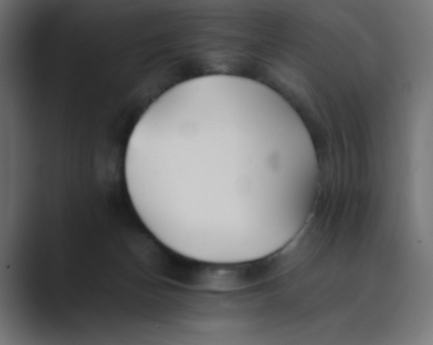 X0000089360174200706291048