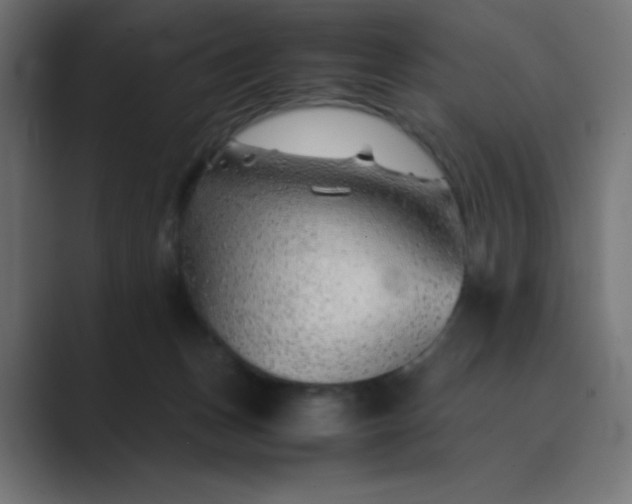 X0000089360175200706291048