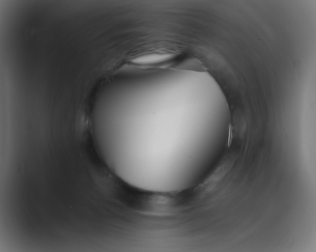 X0000089360176200706291048