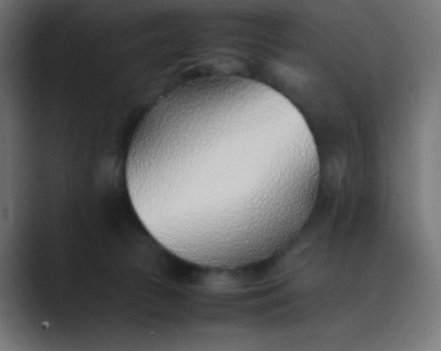 X0000089360177200706291048